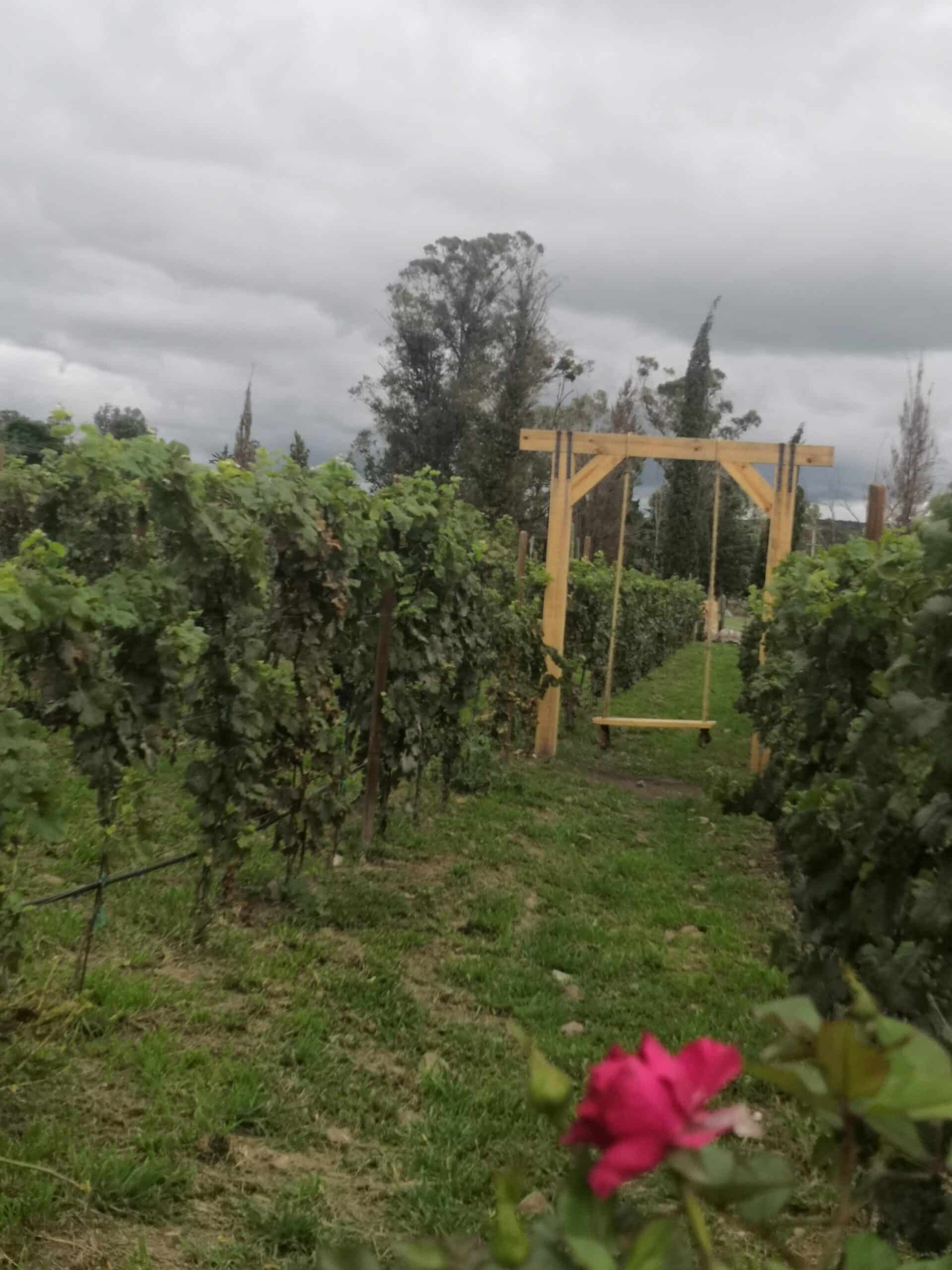 Hacienda Lagunillas