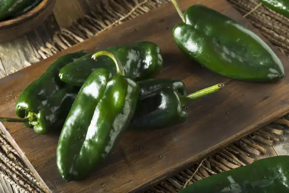 ¿Cómo distinguir entre un chile poblano auténtico y uno de origen chino? ¿Cómo distinguir entre un chile poblano auténtico y uno de origen chino?
