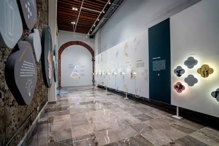 INTERIOR DEL MUSEO INTERIOR DEL MUSEO
