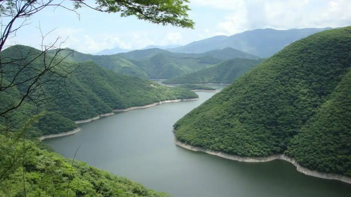 Día Mundial del Agua Día Mundial del Agua