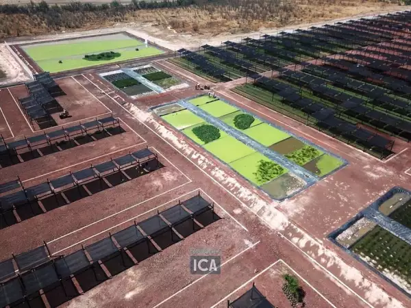 Parque Ecológico de Texcoco Parque Ecológico de Texcoco