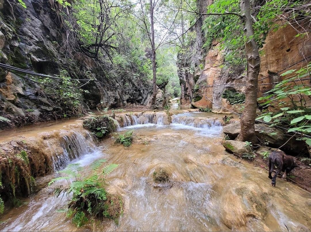 Cañón del Caracol. Cañón del Caracol.