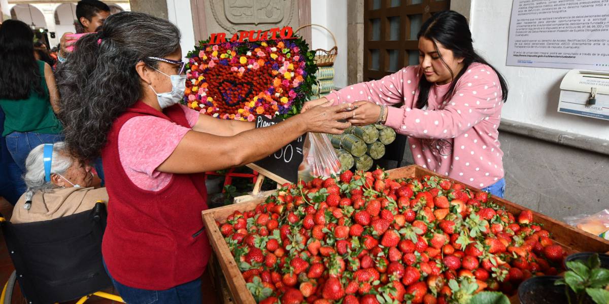 Feria de las Fresas Feria de las Fresas