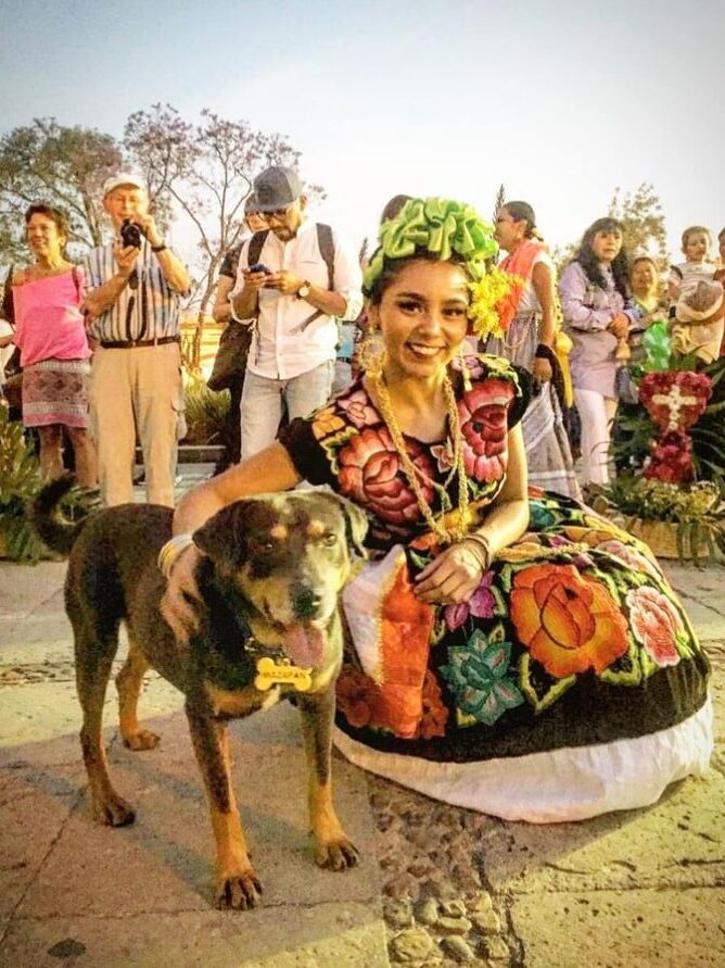 Perrito Mazapán Perrito Mazapán