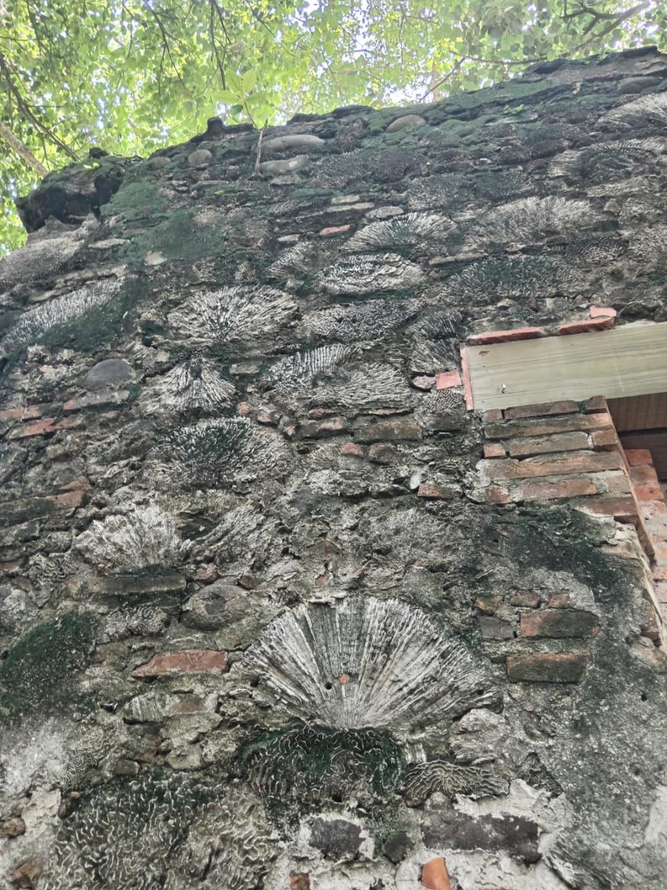 A 28 kilómetros del puerto de Veracruz se localiza La Antigua Veracruz, un lugar lleno de historia que cuenta los inicios de lo que hoy conocemos como nuestro país.