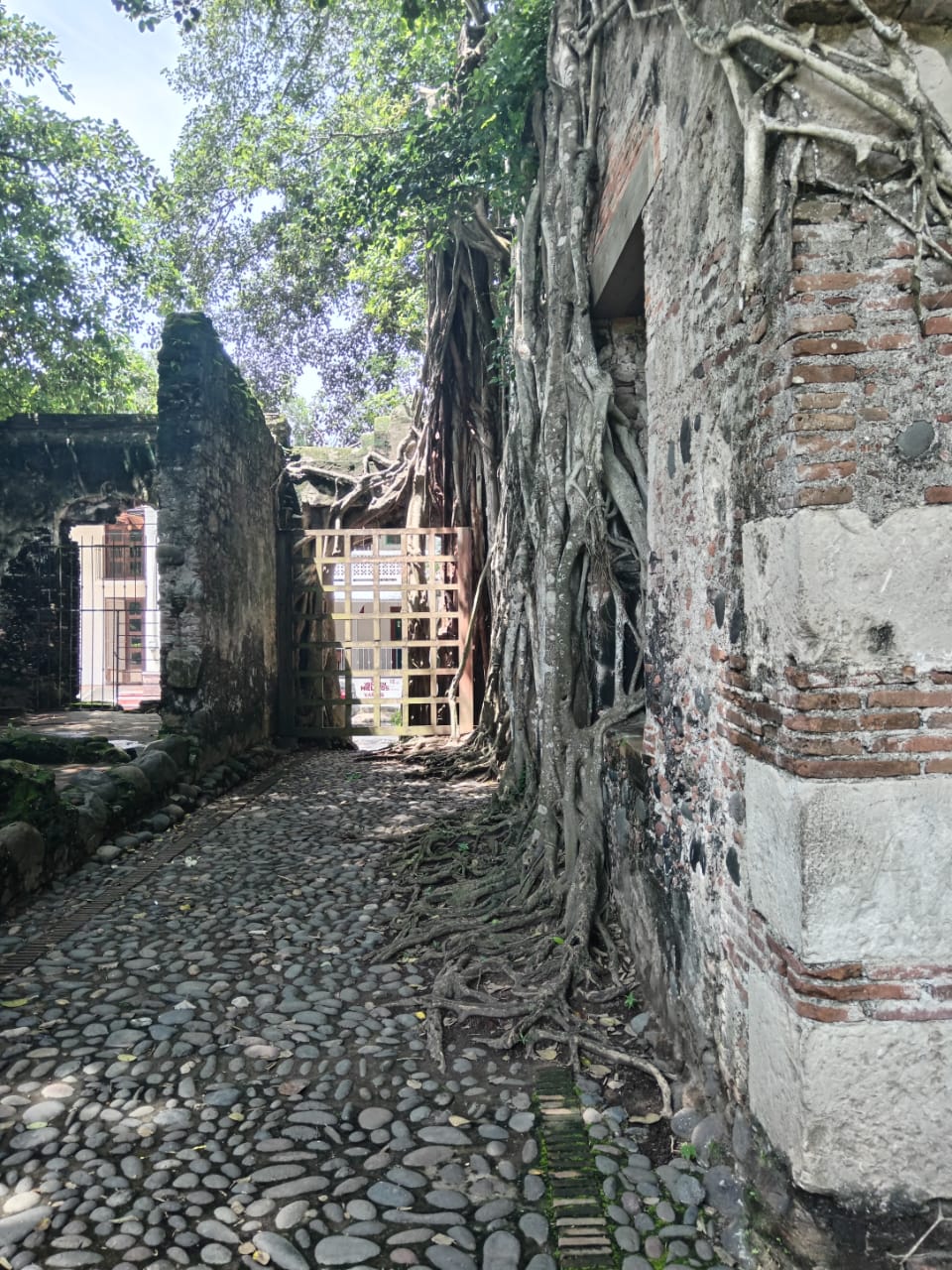 A 28 kilómetros del puerto de Veracruz se localiza La Antigua Veracruz, un lugar lleno de historia que cuenta los inicios de lo que hoy conocemos como nuestro país.