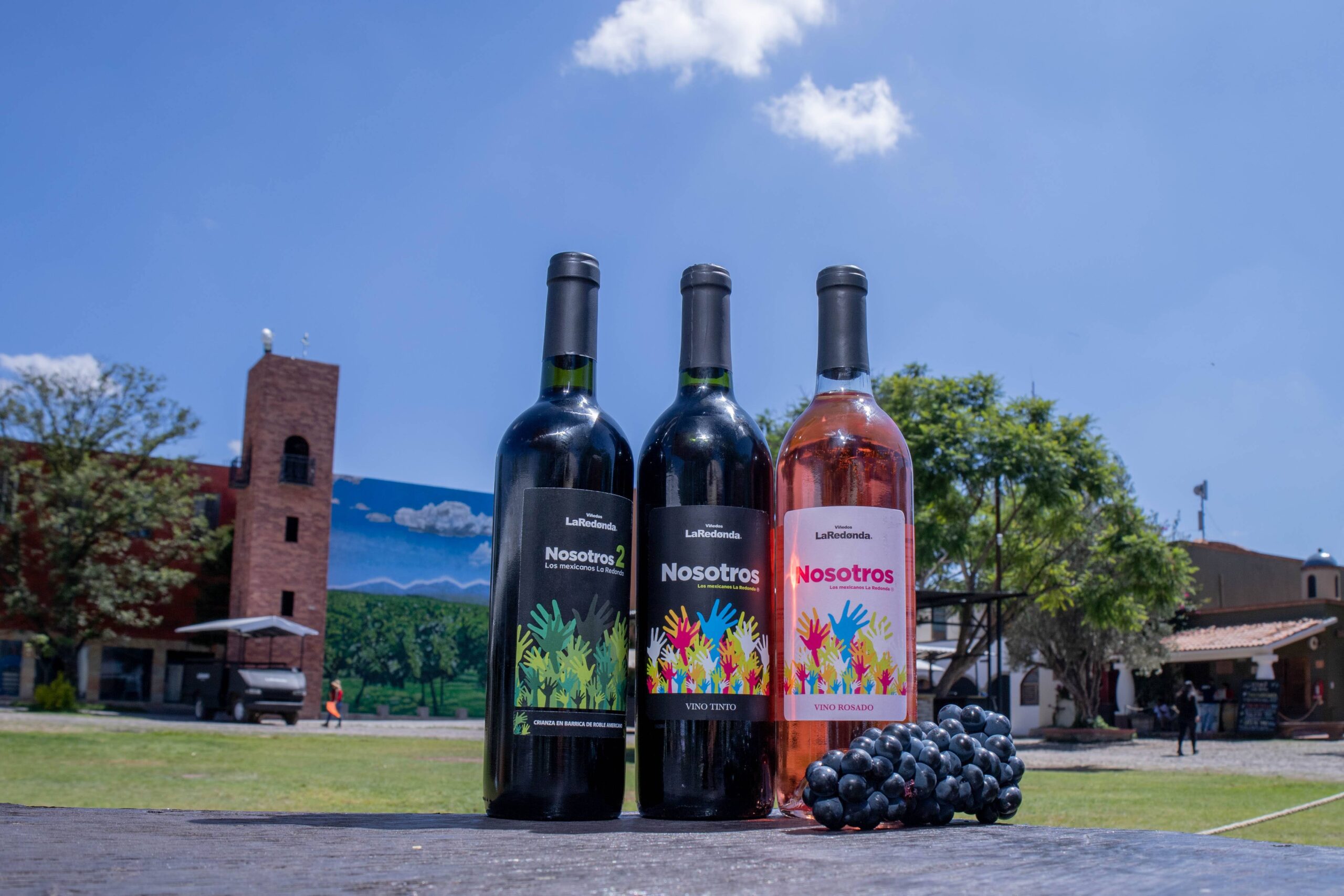 Vinos de La Redonda