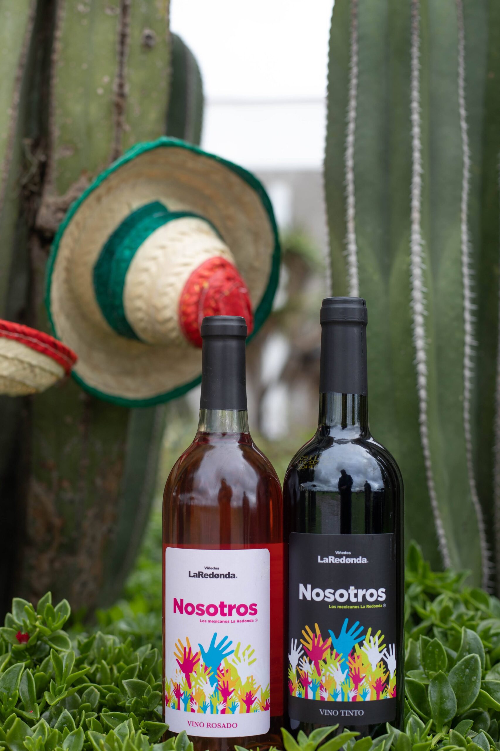 Vinos de La Redonda