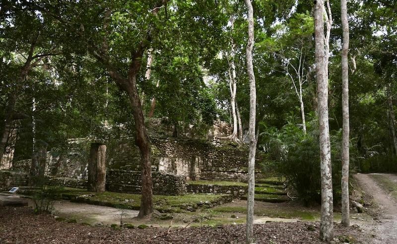 Zona arqueológica de Calakmul