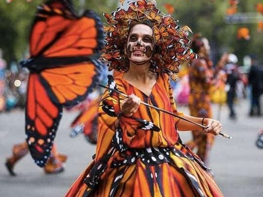 Mariposa Monarca en el Día de Muertos. Mariposa Monarca en el Día de Muertos.