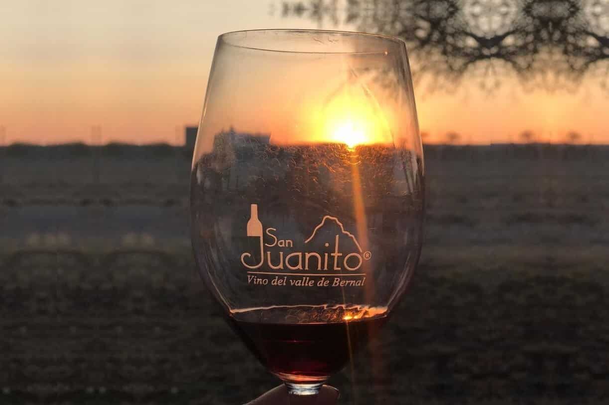 Viñedos en la la Ruta del Vino y queso en Querétaro. Viñedos en la la Ruta del Vino y queso en Querétaro.