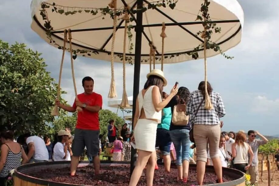 Actividad vinícola en Tequisquiapan Actividad vinícola en Tequisquiapan