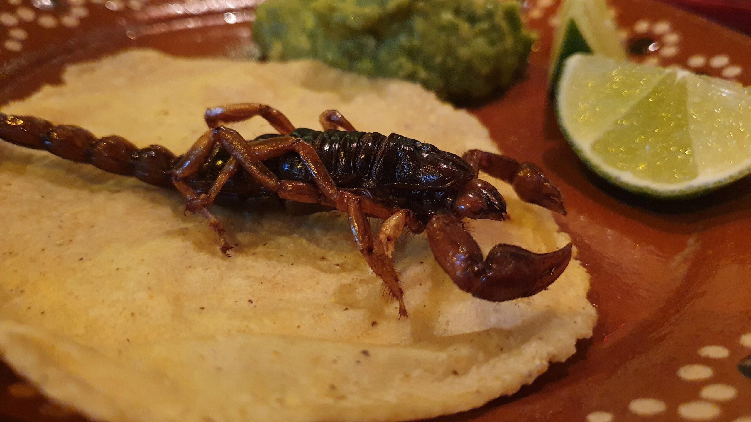 Taco de alacrán Taco de alacrán