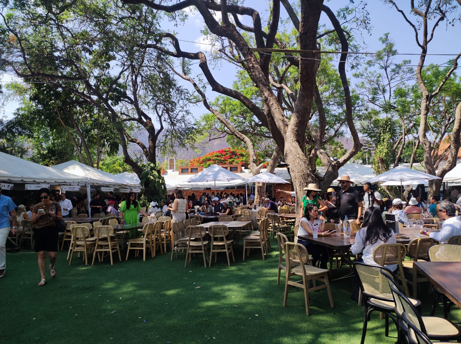 Festival VINART